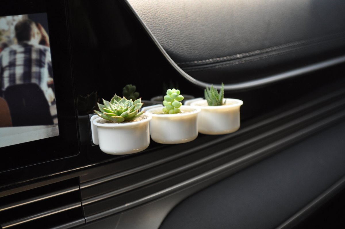 emotipot's tweet photo. #다육식물🌿#선인장🌵 #새싹 #분재
#인테리어 #소품 #선물🎁 #행복😍 #미니화분 #마음화분 
#cactus #succulents #bonsai #plants #mini #tiny #cute #car #decoration #happy #planterior #gift #emotipot https://t.co/5JV3VJQ3RA