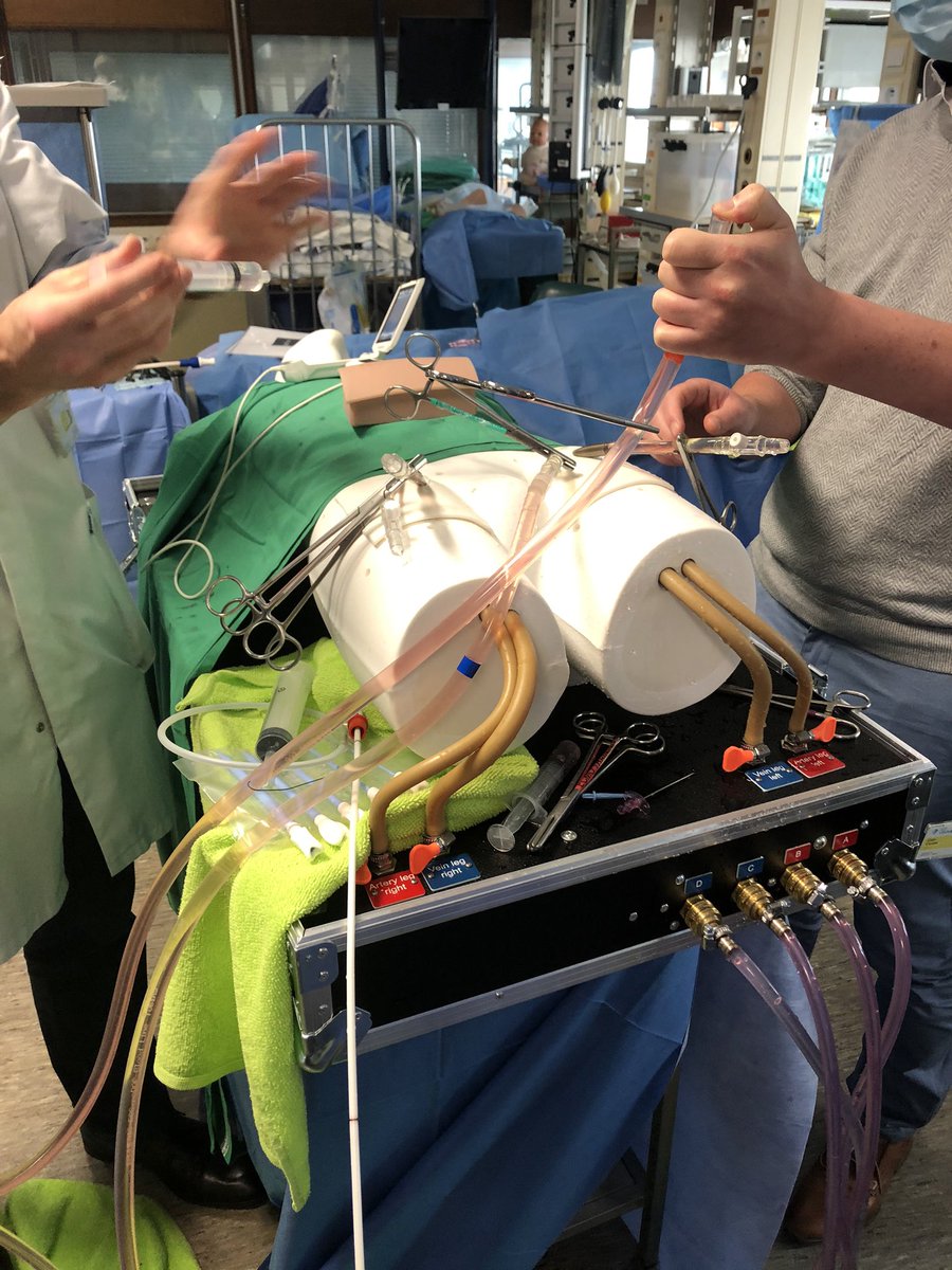 VercaemstL's tweet photo. ECLS specialists course ongoing - day 2 focused on canulation and anticoagulation, all taught by expert faculty ! https://t.co/tp763K0xEi