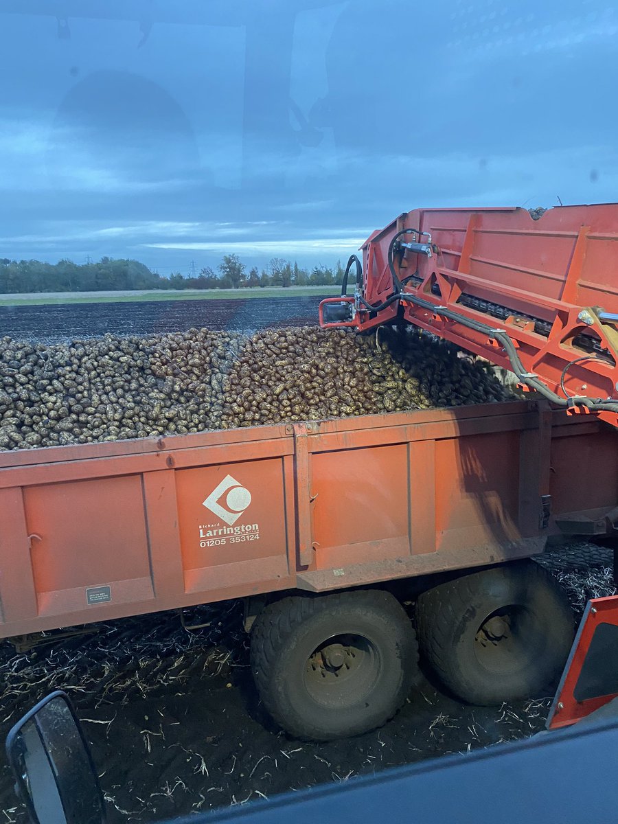 🚜Andrew Barwell🚜Ⓜ️🍗🍖🥓🥩⚽️💛🖤💛🖤💛🏆🥇🏆🥇 tweet media