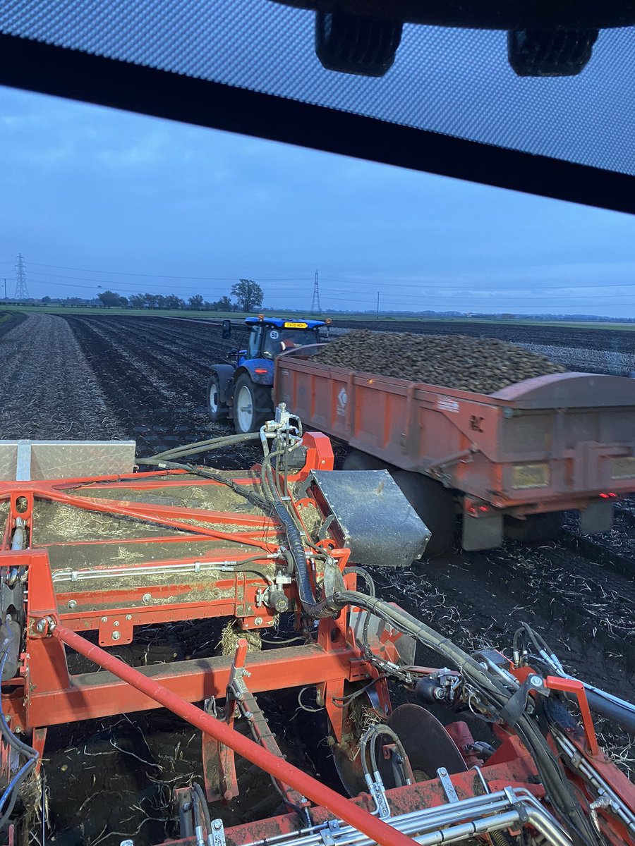 🚜Andrew Barwell🚜Ⓜ️🍗🍖🥓🥩⚽️💛🖤💛🖤💛🏆🥇🏆🥇 tweet media