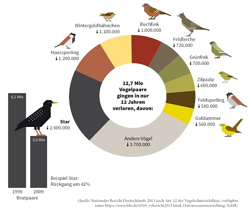 NABU_de's tweet photo. Was wir #krassvermissen? Den #Star zum Beispiel, den #Haussperling oder den #Buchfink: 12,7 Millionen Vogelbrutpaare sind zwischen 1998 und 2009 verschwunden. Das Vogelsterben ist real. Darum wählt  den Vogel des Jahres! https://t.co/1nEe6sUm6o #vogelwahl https://t.co/rsEkZnv5Hl