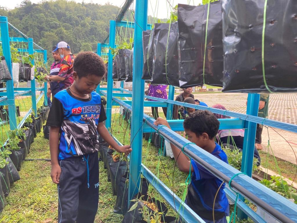 SchoolOfNFT's tweet image. Project based learning for pupils using #smartfertigation system.