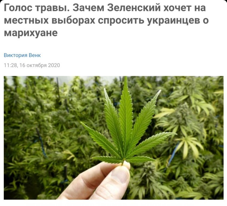 Марихуана закон о распространении Марихуана закон о распространении как установить в тор браузере русский язык hyrda вход