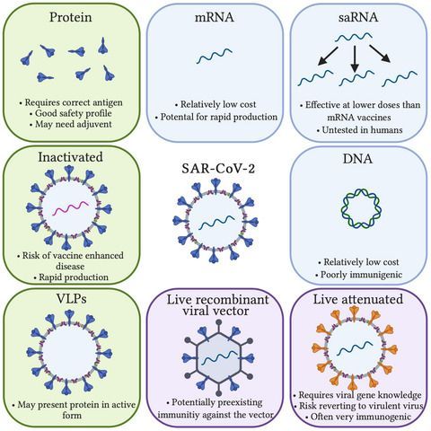 CEIjournal's tweet image. This #OAWeek2020, we&apos;re celebrating some of our best #OpenAccess research 🌟

This excellent review of #vaccines for #COVID19 from @DrTregoning @DrKatPollock @Dr_HMCheeseman et al @ImperialInfect discusses different approaches &amp;amp; #clinicaltrials progress

👉buff.ly/3jap9Vq