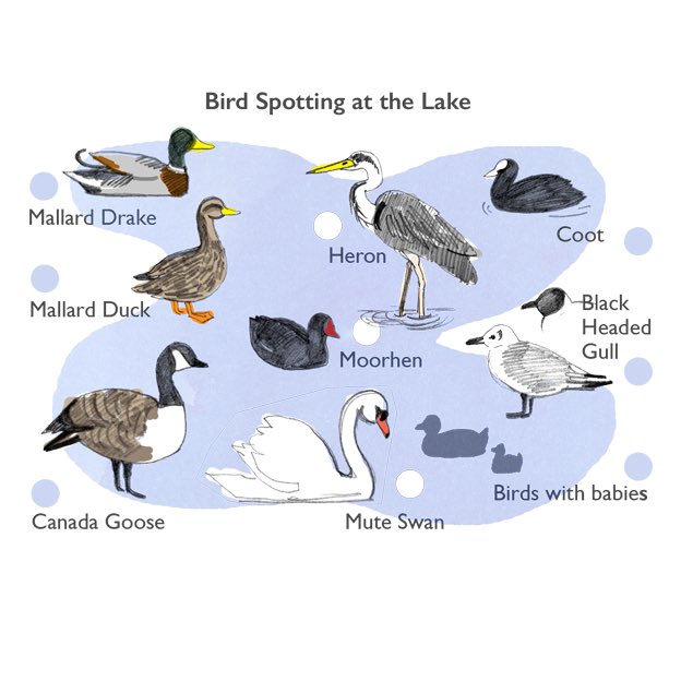 Ready for some bird spotting this half term? Visit our website to find this captivating new activity sheet. <a href="/oc_kirklees/">One Community</a> <a href="/KirkleesComPlus/">Kirklees Community Plus</a> <a href="/KirkleesMayor/">Mayor of Kirklees 2025-26</a> @BlakerJo