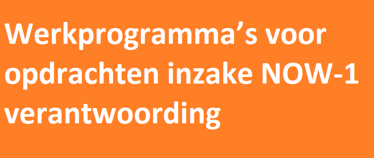 Vanaf nu zijn er werkprogramma’s en aanvullende instructies voor de volgende opdrachten in het kader van de NOW-1 verantwoording bij Novak beschikbaar: Verantwoording NOW-1 vaststellingsaanvraag cliënt (overige opdracht).  novak.nl/werkprogrammas… #accountancy #accountants #now1