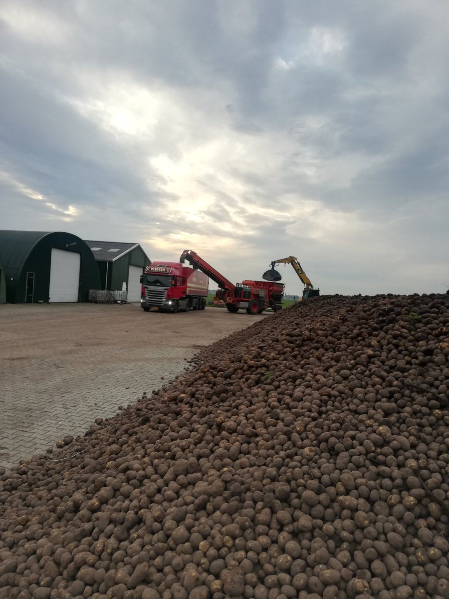1e Aardappelen leveren van dit seizoen voor @Avebe_group "Oostermoer" Gasselternijveen waar ze alles eruit halen wat erin zit!