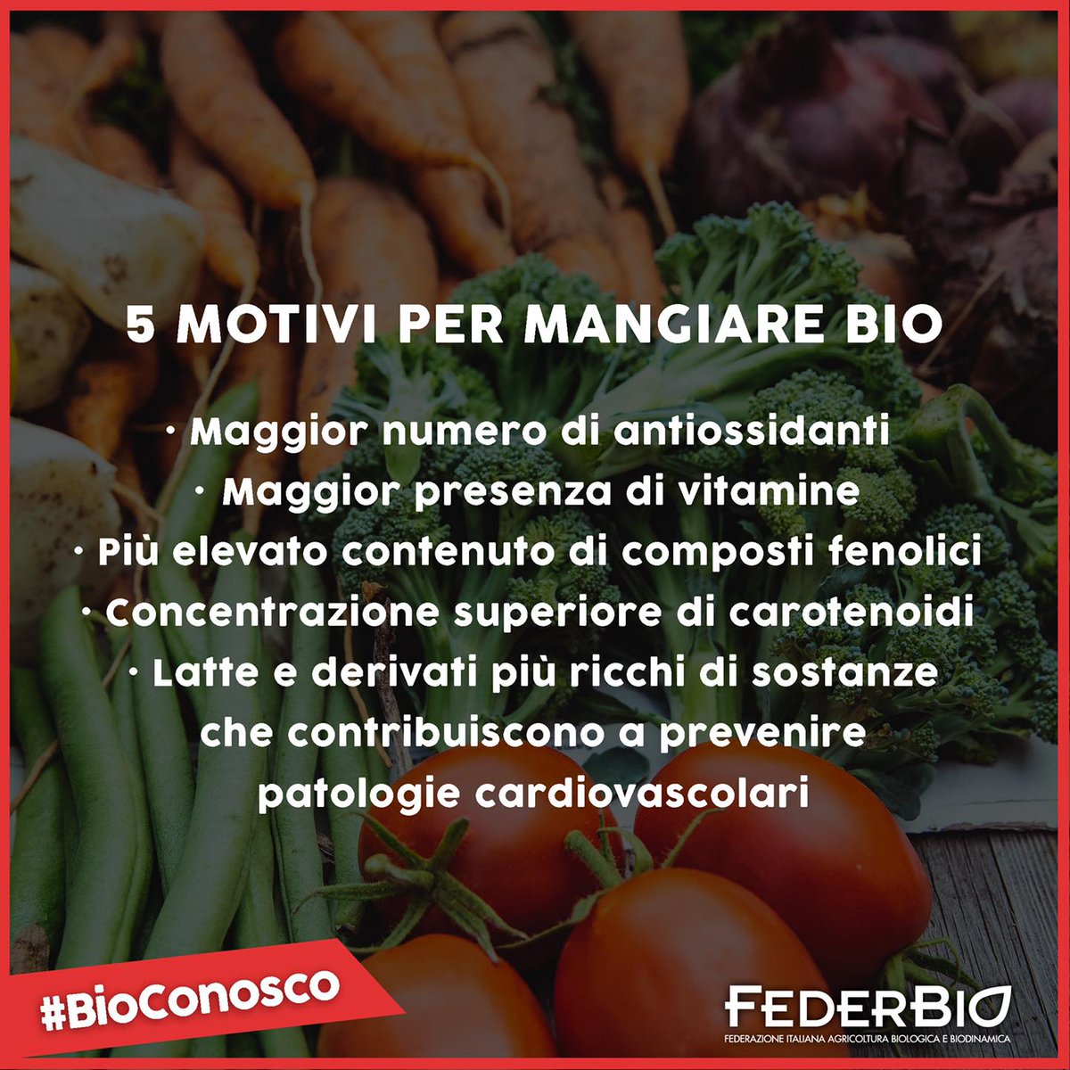 FederBio's tweet photo. #BioConosco #FederBio https://t.co/hel8kGe4mt