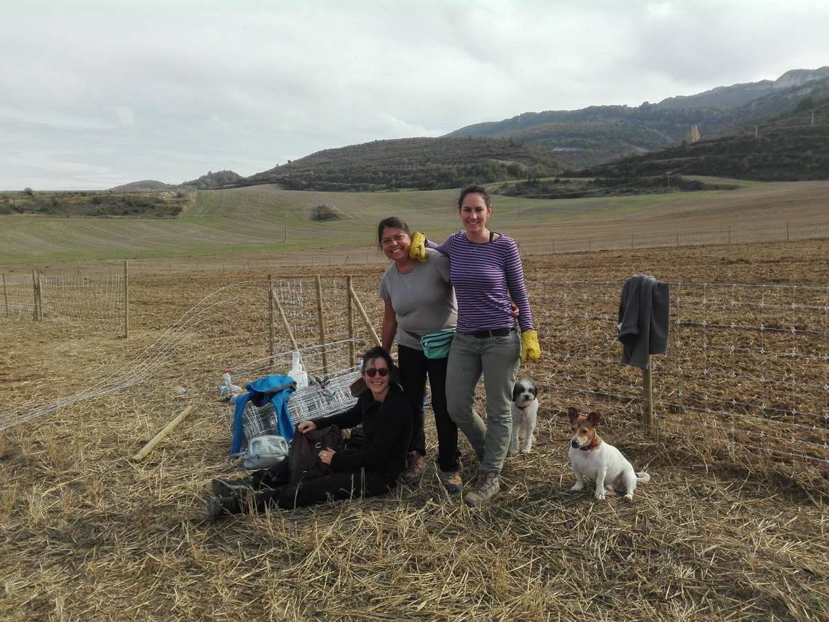 🪱 #Humus de #Añana iniciativa de tres mujeres para elaborar vermicompost en la localidad de #Portilla
#Zanbrana @AnanakoKuadrila @AnanaAdr
🎙️ #LurBizia @radioeuskadi y @radio_vitoria
https://t.co/1vxNA3A7TE https://t.co/qKhp3XtLxu