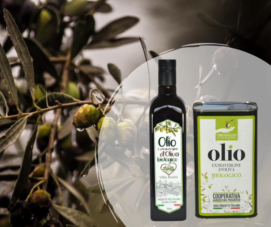 Per la produzione di #Olio di Oliva #Biologico si possono utilizzare solo prodotti naturali. Diserbanti e insetticidi sono vietati; i fertilizzanti sono tutti a base organica e le coltivazioni devono in genere essere trattate nel rispetto dell'ambiente. #italianquality #oliveoil