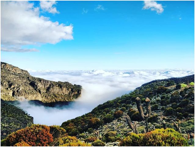 Have you ever hiked above the clouds?

#MtKilimanjaro #Tanzania #nature #sky #photography #Africa #Travel #Adventure #BucketList #Hiking #Trekking #MotivatedMinds #LoveMountains #Climbing #NatureLovers #RoofOfAfrica #kileleclimbtours