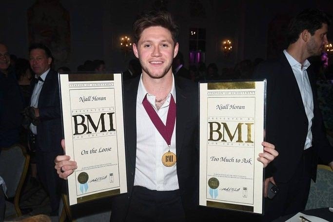 He got 6 BMI Awards-2× Slow Hands2× This Town1× TMTA1× OTL He also won AMAs for the New Artist Of The Year in 2017. #ProudOfNiall