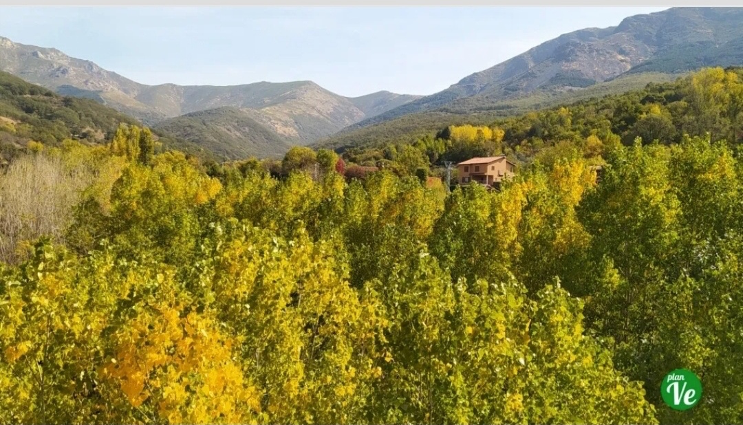 Uno de los otoños más bonitos de España se abre paso. 😊

Ahora mismo se muestra verde y a lo largo de los días irá cambiando a rojo, amarillo y ocre. 🍁🍂🍃

Sí, estamos hablando del Otoño Mágico <a href="/valleambroz/">DIVA-AMBROZ</a> y si lo llaman así por algo será. 😜

➡️ planvex.es/web/2020/10/ot…