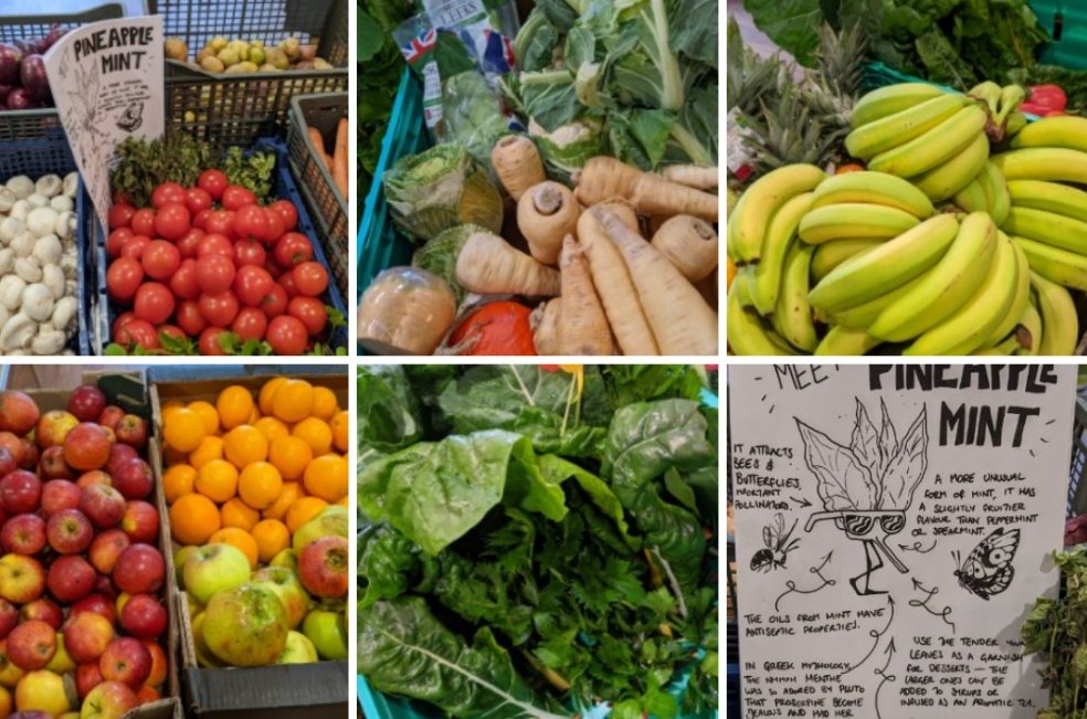 Haslemere Food Bank tweet media