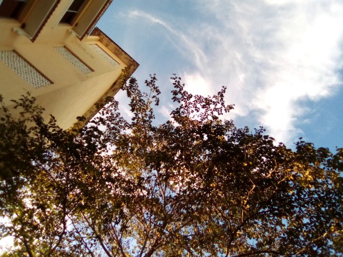 View of a sunny day from the bottom of my apartment 
 #cbeyond