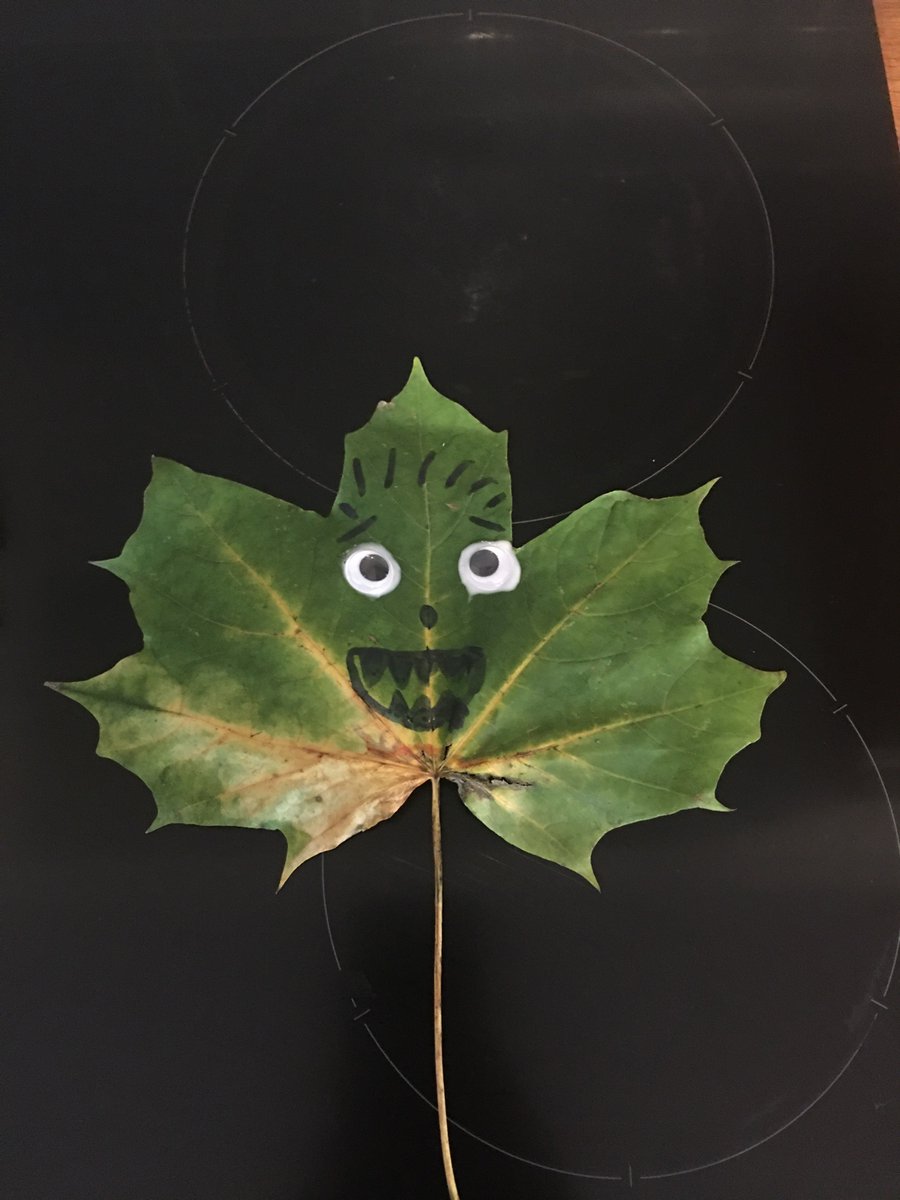 MerreyAmanda's tweet photo. Madisons leaf monster 👹 she said he doesn’t look very scary haha! @MissBulmer https://t.co/04IFeJIbQO
