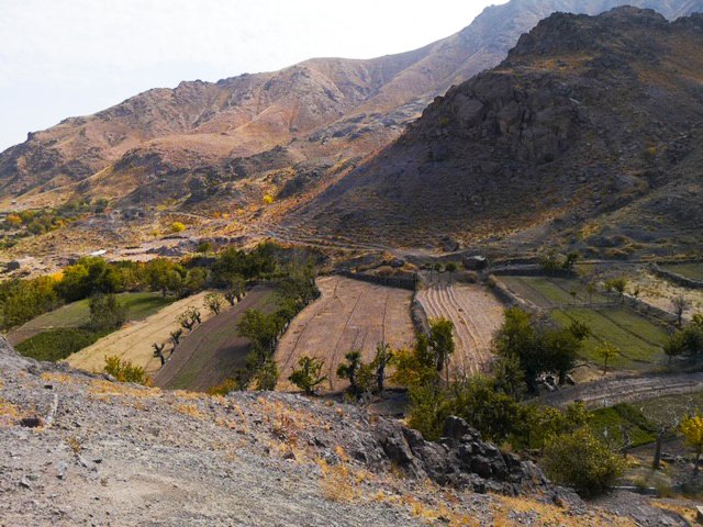 activinside's tweet image. This is one of our #saffron fields in Iran, with an exceptional location at the foot of the mountains, far from any source of pollution. In this native land of saffron, we benefit for traditional knowledge of local farmers that work in the cooperative. #nutraceuticals