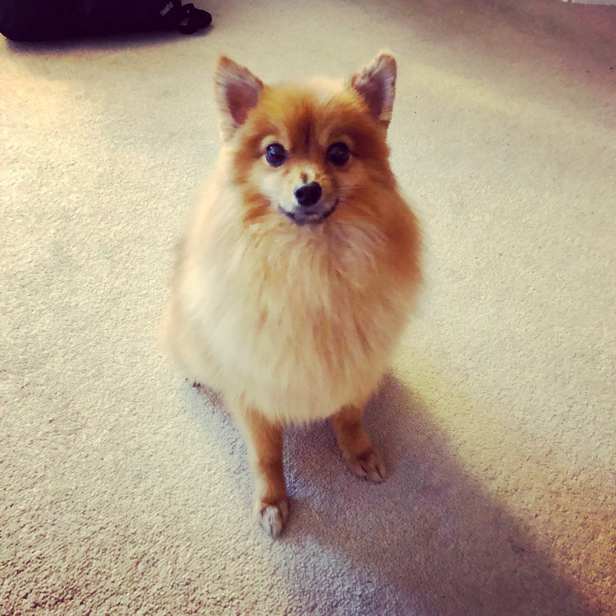 Nikki Jayne tweet media