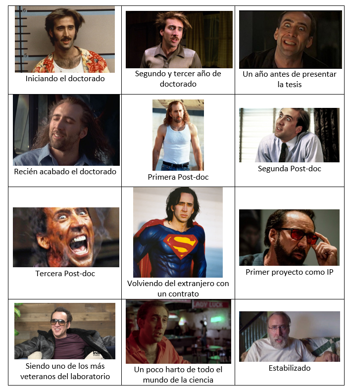CientificoenEsp's tweet image. ¿En qué fase Nicolas Cage está tu carrera investigadora?