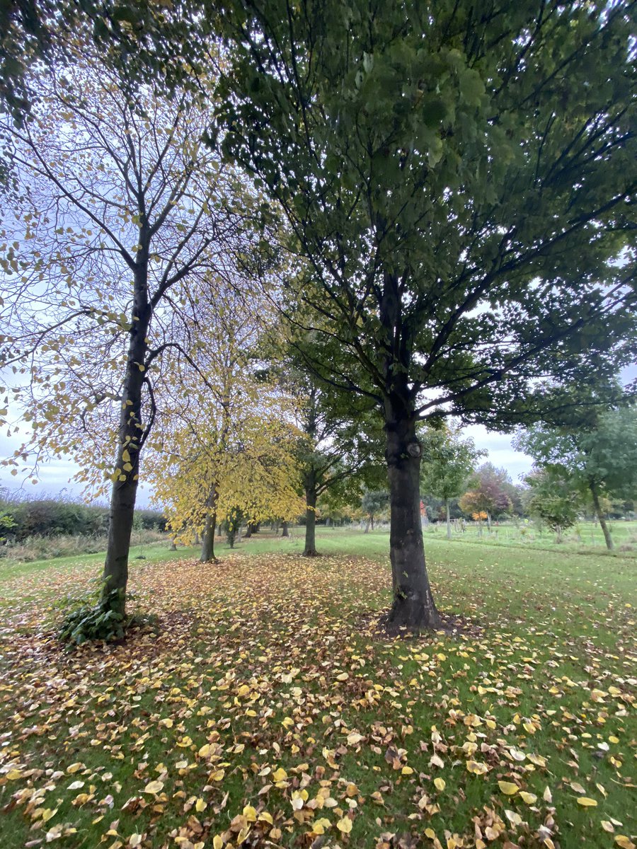 West Park Cafe hours are as follows
Wednesday 10am-4pm
Thursday 10am-4pm
Friday 10am-4pm
Saturday 10am-4pm
Sunday 10am-4pm
For further information check out the West Park Cafe page or call the Green Team Office on 0777 267 0831.