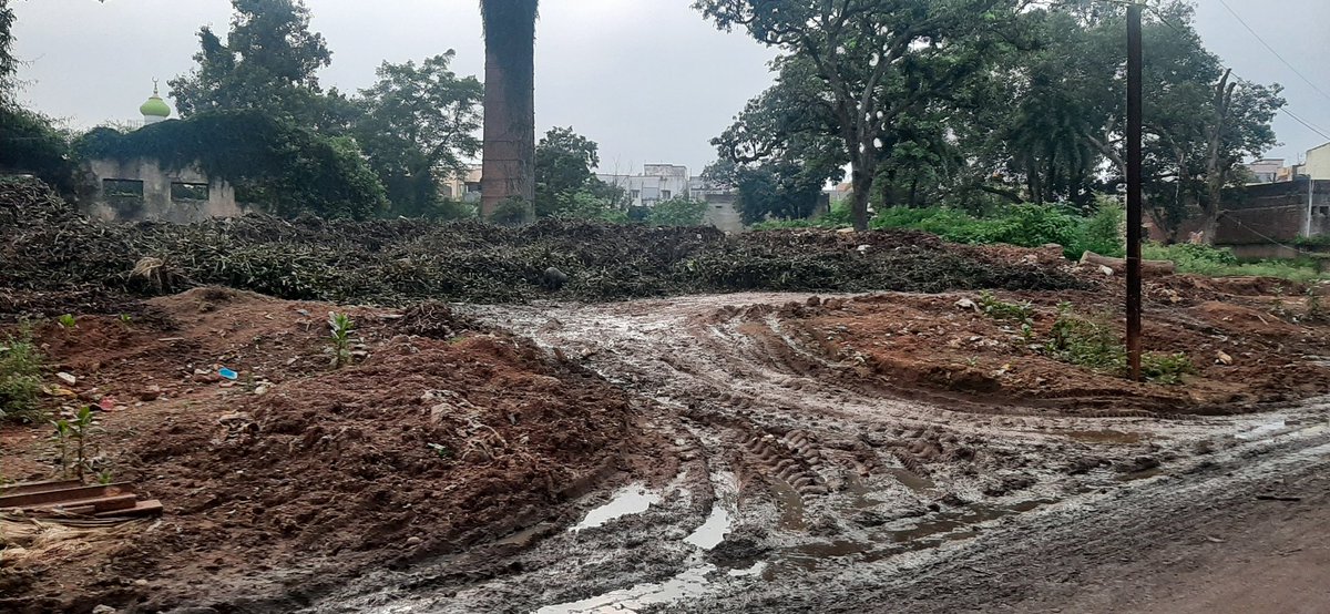 harshpalkot's tweet image. कोरोना काल में नई महामारी को न्योता: रांची बड़ा तालाब से जलकुम्भी निकाल कर घनी आबादी वाले पुरानी रांची मुहल्ले के बीच डंप किया जा रहा है। सड़न, बदबू और एक नई महामारी का भय; महीनों से सारा इलाका त्राहिमाम कर रहा है।
#HemantSoren
#Hemantsorenjmm 
#dcranchi
#wosubahkabhitoayegi