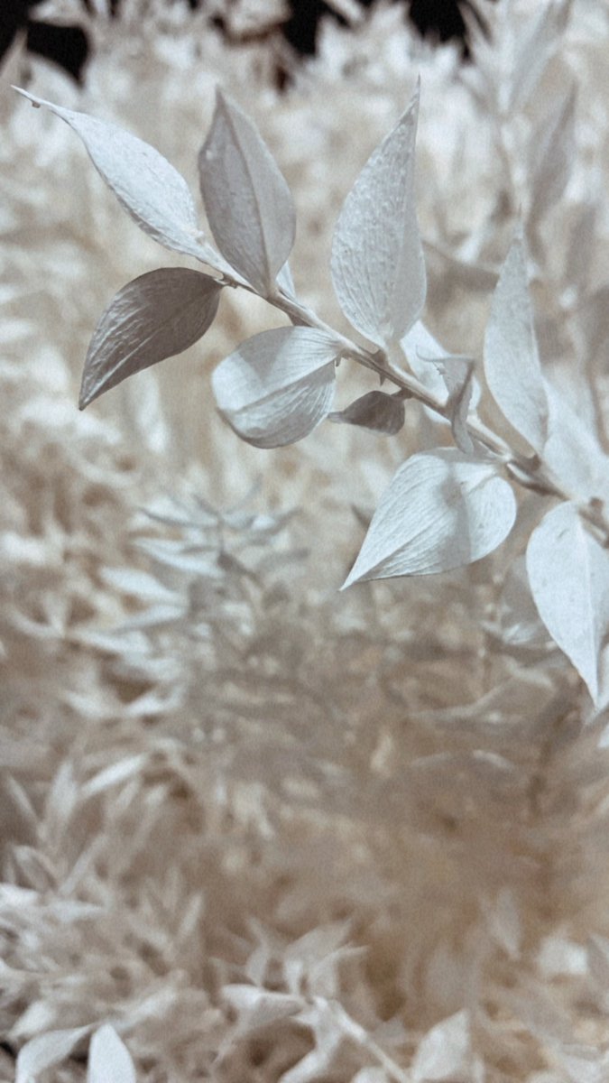 The Botanical Lounge
Abu Dhabi 📍