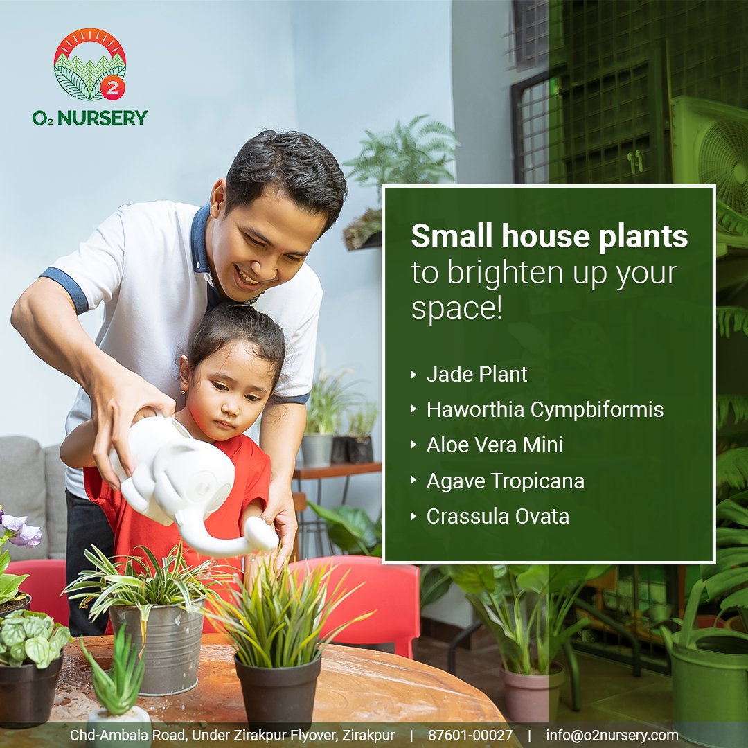 O2Nursery's tweet photo. Love plants but donβt have space for a big garden?
No worries. Weβve got a wide range of indoor plants you can choose from to make your own indoor garden!
π Visit us: Chd-Ambala Road, Under Zirakpur Flyover
π call us at 87601-00027
#O2Nursery #IndoorPlants #Gardening #Plants https://t.co/c49b8wsOhA