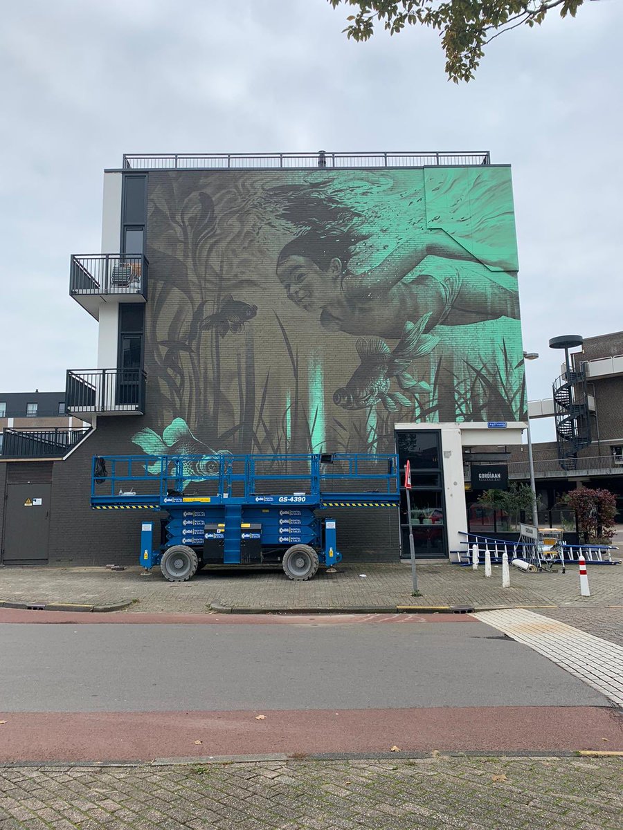 Hebben jullie de mural al gezien? 😍 #lelystad #streetart #stadshart prachtig! Sidney Waerts 🎨