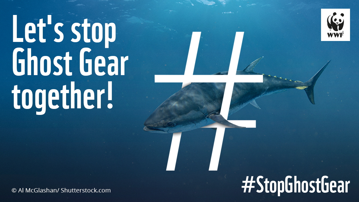 Have you heard of the deadliest form of marine plastic debris? Ghost gear👻 refers to abandoned, lost, and discarded fishing gear that can continue to catch and kill marine life for decades. It is a huge contributor to the global plastic pollution problem. What can you do? 👇👇 https://t.co/0vSe8v4WaS