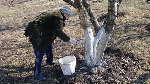 kremen_ua's tweet image. Защита сада от вредителей в осенний период на при…  kremenchug.ua/news/consumer/…

#садоводы #сады #деревья #растения #Госпродпотребслужба #советы #вредители