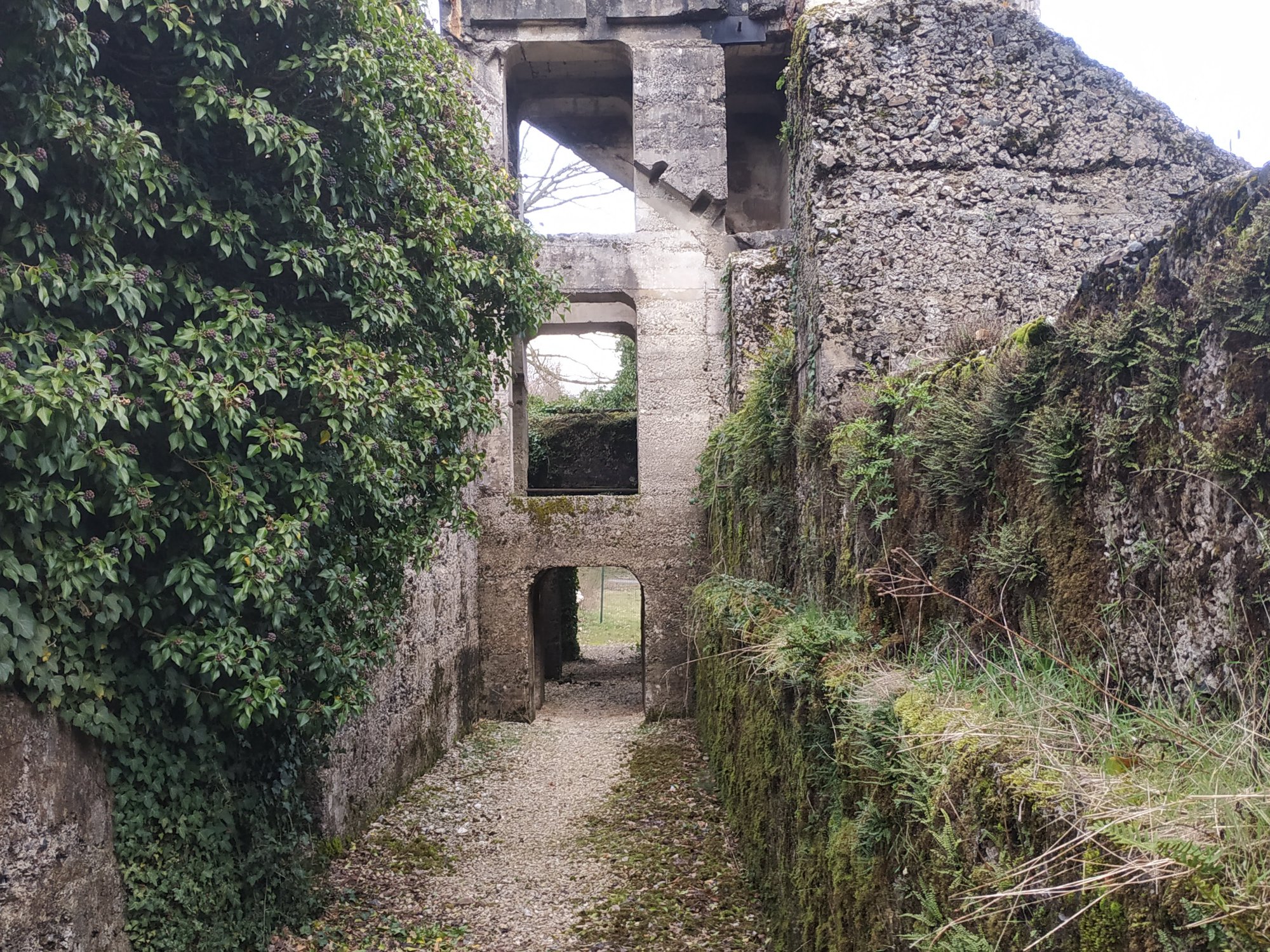 Découvrir les Ardennes on Twitter "Concasseur Allemand, Forêt de