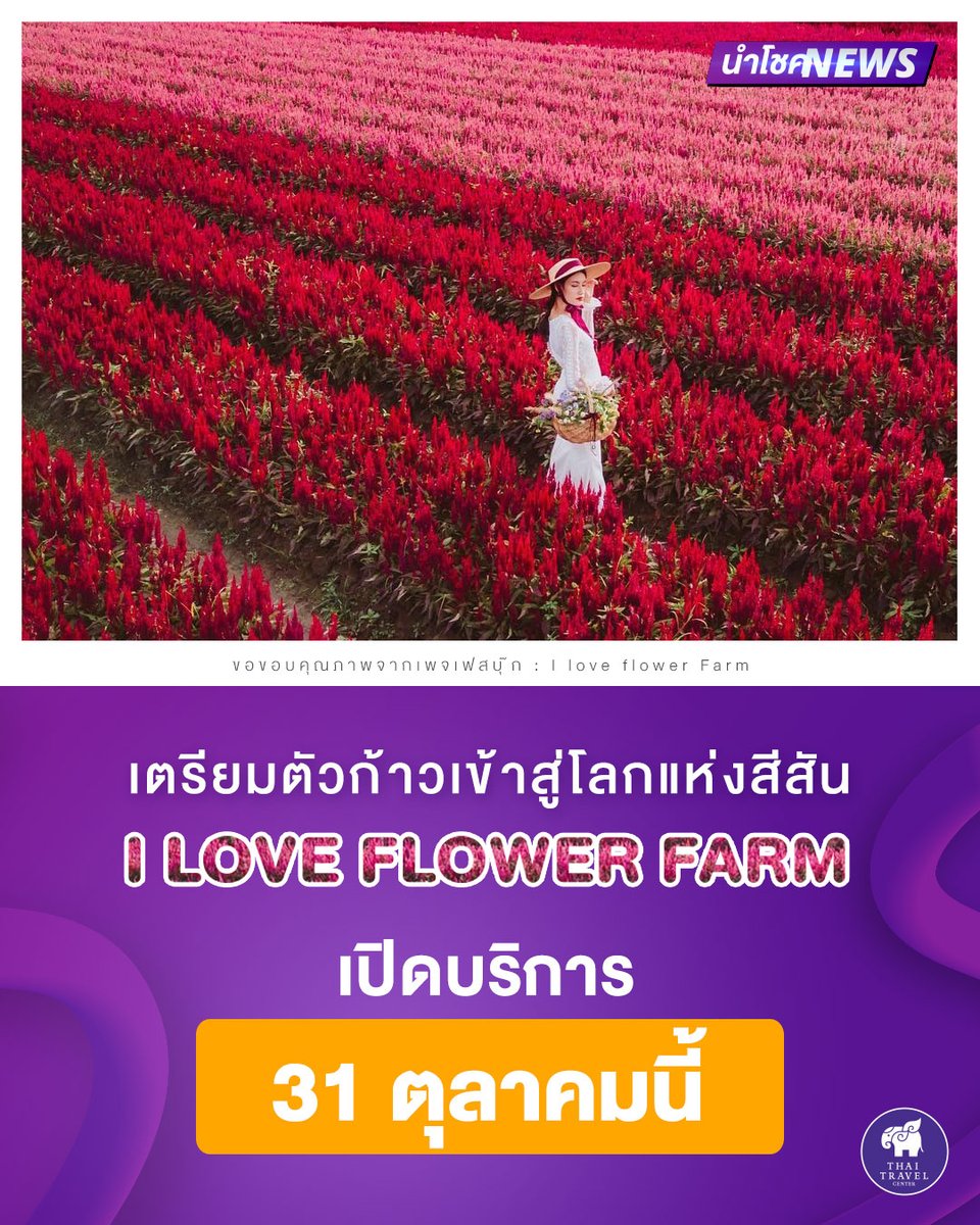 thaitravelenter's tweet photo. (\_/)
( •_•)
/ >🌺

💃 เตรียมชุดที่สวยที่สุดไว้ให้พร้อม ✨

🌈 I LOVE FLOWER FARM 🌹 #ทุ่งดอกไม้สุดปังแห่งเมืองเชียงใหม่ จะเปิดให้เข้าชมอย่างเป็นทางการ 31 ตุลาคม 2563 นี้

⭐ อ่านเพิ่มเติม https://t.co/EzBpSXgx1d

#ทุ่งดอกไม้ #เชียงใหม่ #ท่องเที่ยว #เที่ยวทั่วไทย https://t.co/5ova3wqS6Q