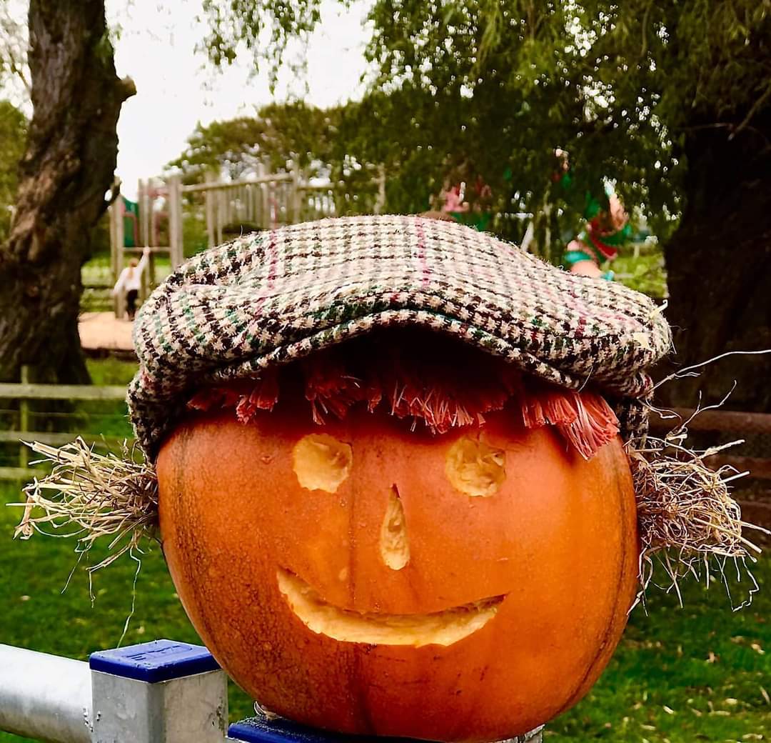 Windmill_Farm's tweet photo. We would like to introduce Farmer Pumpkin👍. Make sure you keep an eye out for him when visiting. He loves a good selfie 🤳 #jobsagoodun 
#pumpkinsofinstagram #pumpkinpicking #pumpkinpatch #outdoorfun #booknow #daysoutwiththekids #farmlife #familytime #homegrown #familydaysout https://t.co/QDjRm3QtCP
