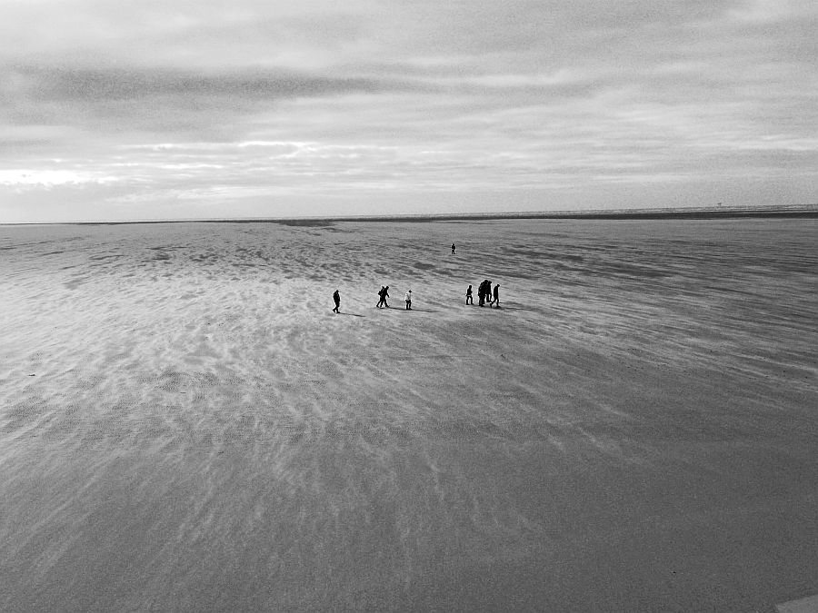 LachlanMain's tweet photo. SOUTHPORT.
On the beach.
https://t.co/CTrUDsmote
#blackandwhitephotography #landscapephotography #wallart #greetingcards #coffeemug #beach #shorline #southport https://t.co/46BP29Kfiq