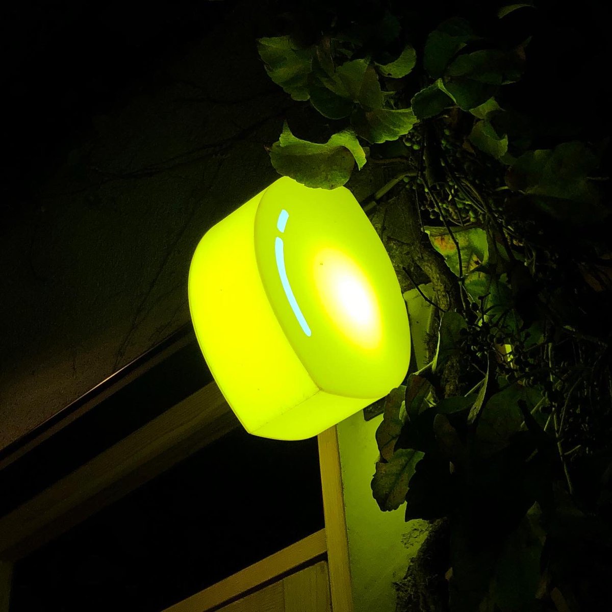 LemonLemonJp's tweet photo. さて、今夜もそろり、そろりとレモンレモン始まるよ〜
今日はリクエストの多かった【ナッツチャレンジ】始めました。
とびきりのレモンサワーと召し上がれ!
#lemonlemon
#レモンサワー
#レモンレモン
#人宿町 https://t.co/mxoRDvTIiA