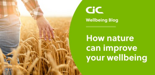 CiC: Workforce wellbeing tweet media