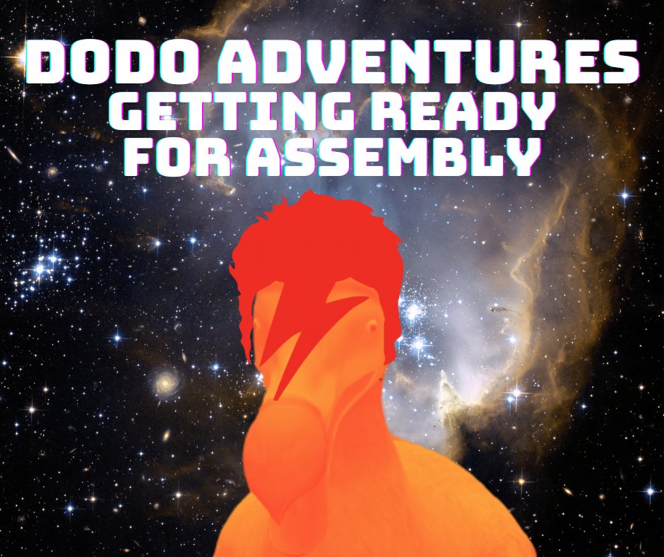 Dodo Adventures tweet media