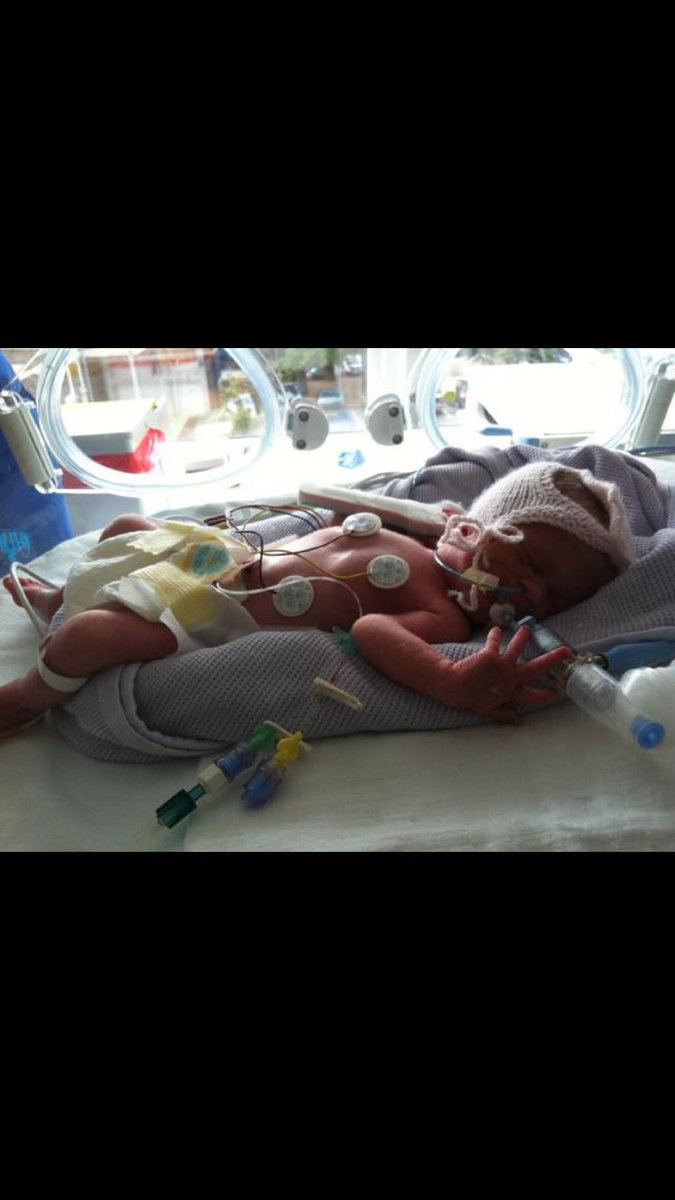 Sean Geek tweet media