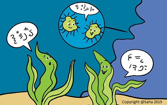 sahamahasweta's tweet image. Want 2 do a #PhD on how seaweeds "talk" to friends and foes with commercial implications? If yes then apply for dis fully funded @SWBio_DTP PhD (!) wid n M. Vos, C. Lowe @UniExeCornwall @ruth_airs n myself @PlymouthMarine
Deadline 7th Dec. Please RT🙂
exeter.ac.uk/postgraduate/f…