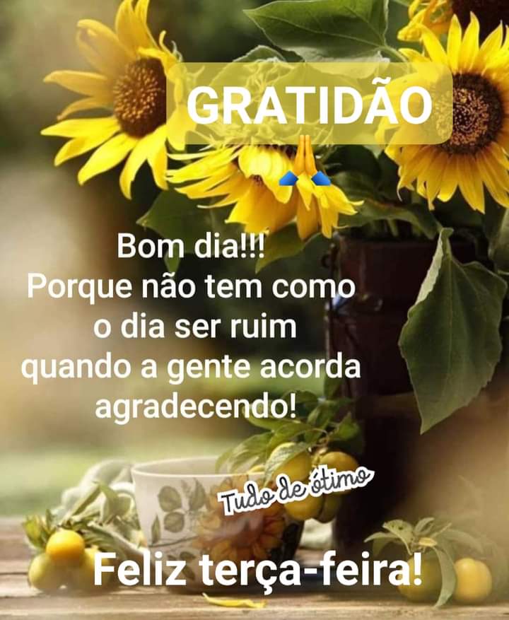 Luciana Castro on Twitter: Luciana Castro on Twitter: