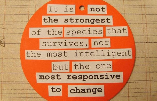 bdmoyer's tweet image. The best skill to teach a child is reinvention.  Change is the only constant.