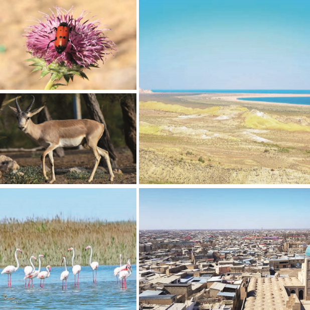 ⬇ Compulsory reading for anyone (media, academia, civil society, policy makers) interested in #Environment #ClimateAction #ClimateData #GreenRecovery in Uzbekistan. Highlights achievements to date & highlights top policy recommendations for accelerating progress on green #SDGs. https://t.co/HE49G3wHcw