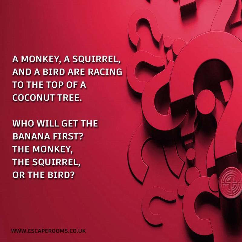 Escape Rooms tweet media