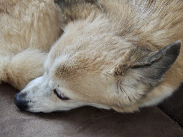 Stan Collins tweet media