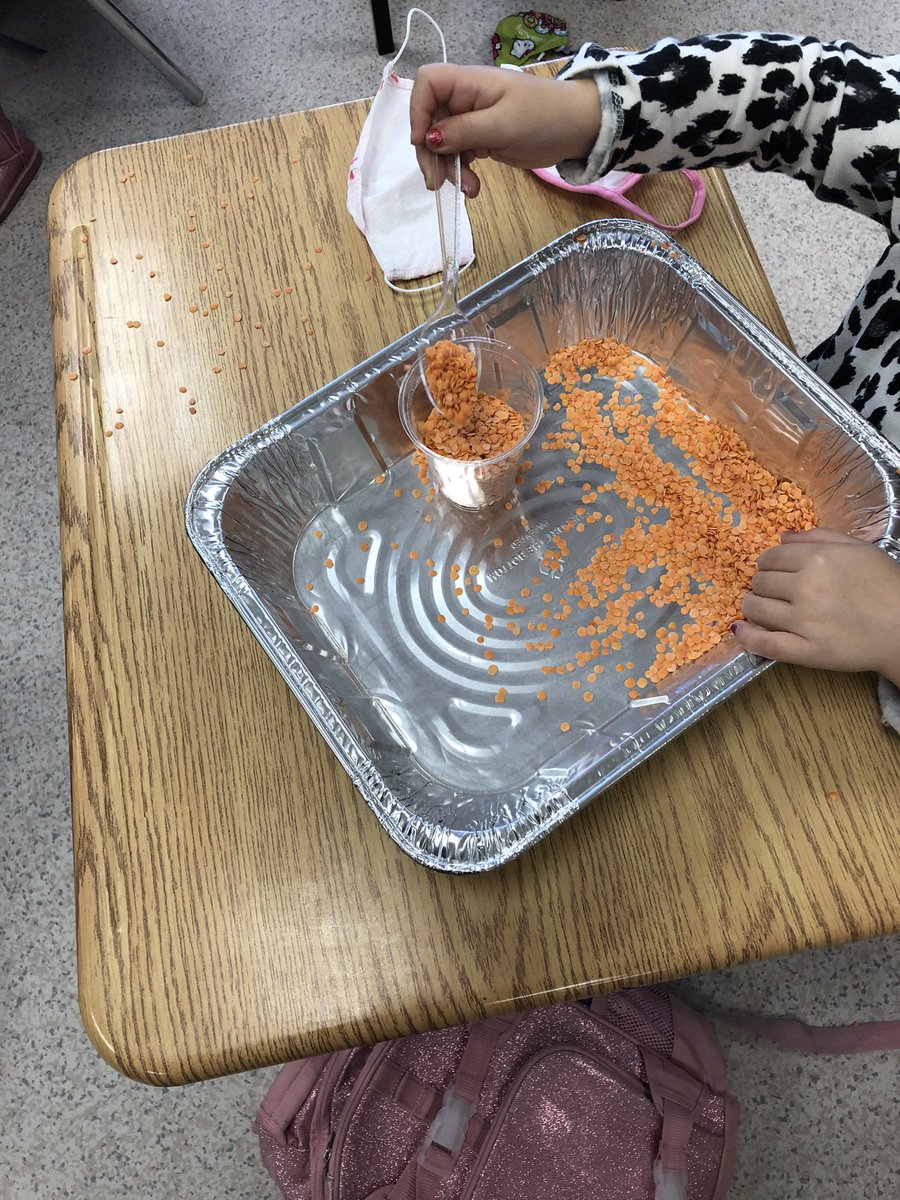Today we are using our trays with lentils. We are learning to count and estimate