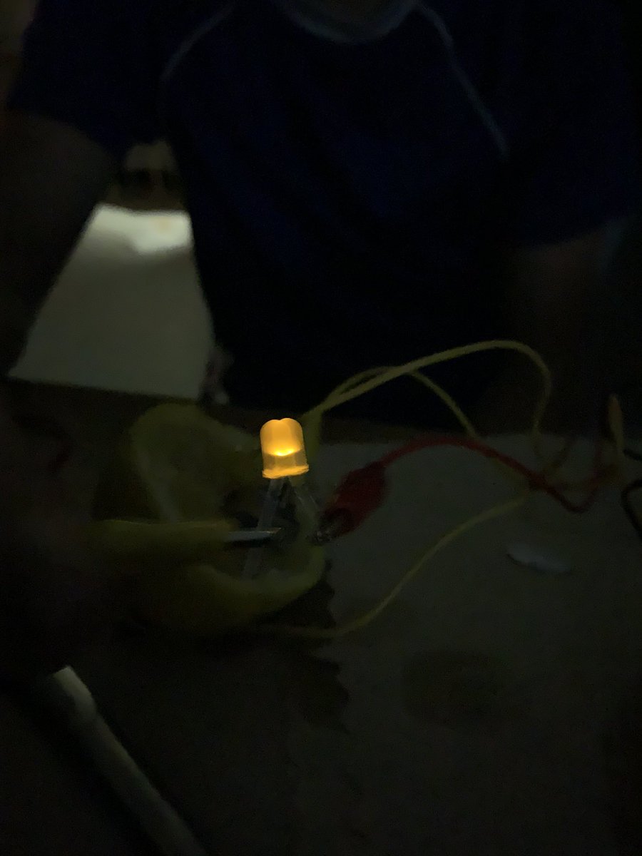 Happy to be working with our Osler PAA students. They successfully put together a lemon powered battery.  #pssdthankful