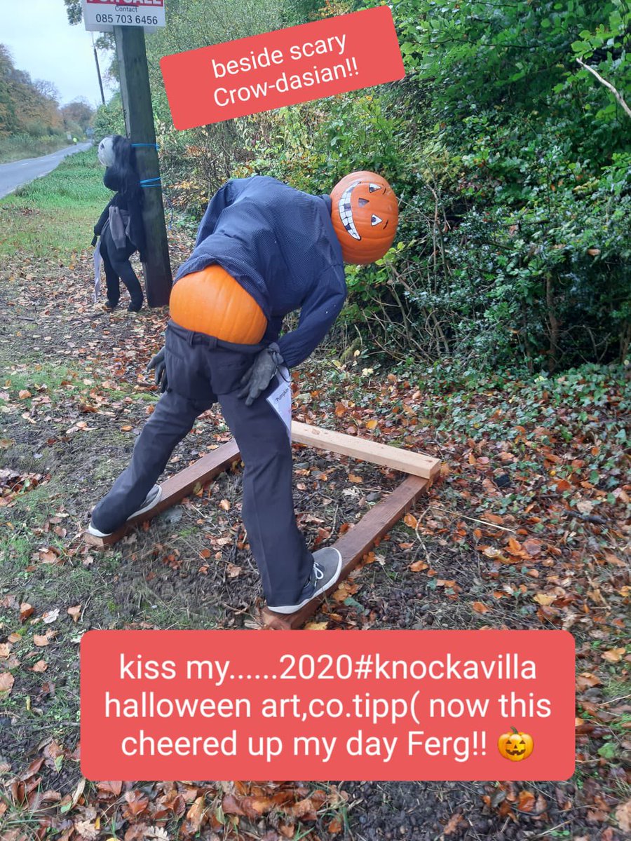 TodayFM's tweet photo. We needed this today! β€οΈπ€£ππΌ
Josie sent @FERGDARCY this crazy Scarecrow and Pumpkin Halloween display in Knockavilla, Co. Tipp raising money for @BreastCancerIre
Text Pink to 50300 π
As long as we have a mooning scarecrow we can get through this 2nd lockdown! ππ€π₯° #Bumkin https://t.co/yxosLTinuJ