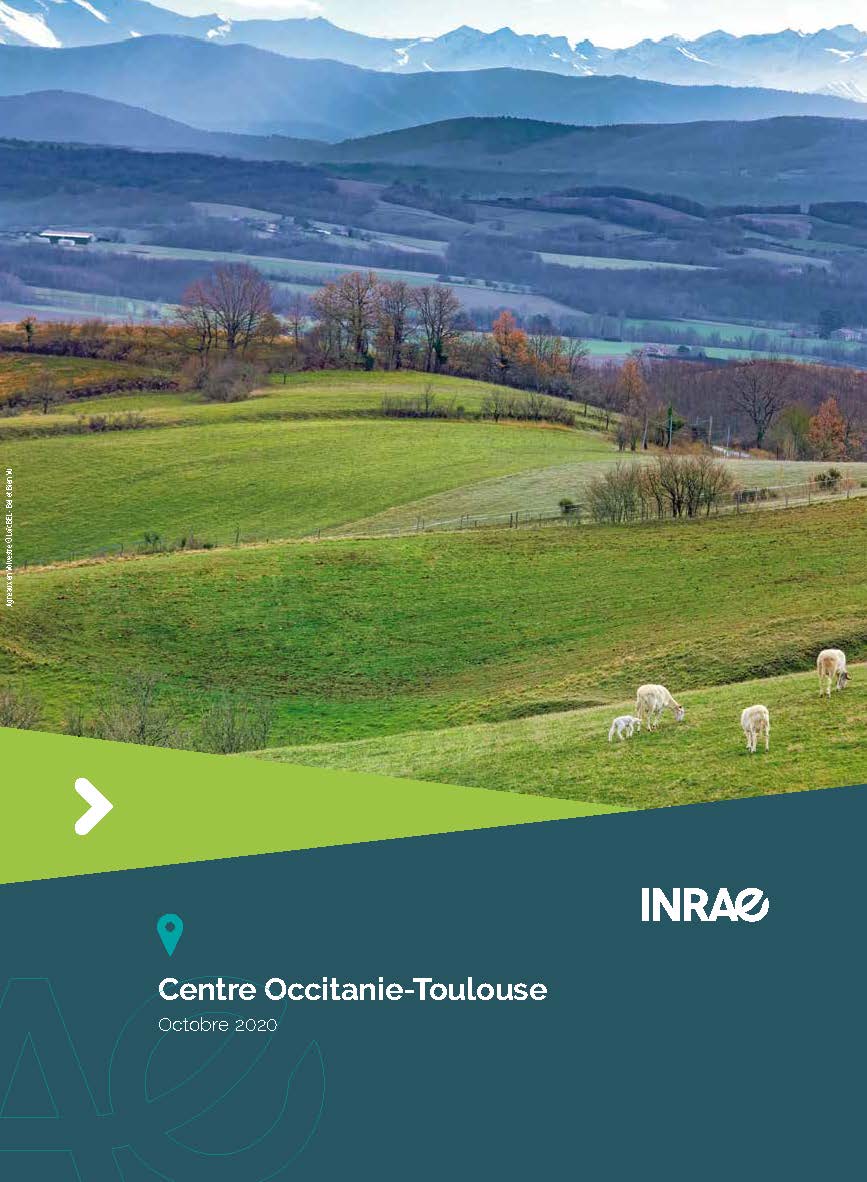 [#mustread 😀] 📣 La plaquette de centre aux nouvelles couleurs institutionnelles vient de paraitre ! 

👩‍🔬2000 personnels #INRAE et partenaires 
🏢9 sites
🔬26 structures : recherche, appui, expérimentale 
📖700 publications /an

A découvrir 👉url.inrae.fr/37pTrBk
