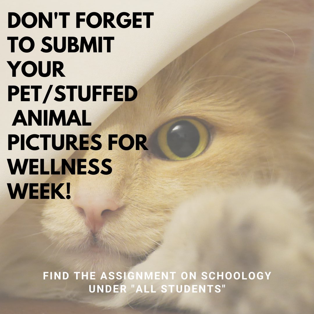 Please submit your pet/stuffed animal pictures for wellness week! The assignment can be found in schoology in the “All Students” course. Thursday is the last day to submit photos! (There will be a prize for the best picture 🤫) 🦅🦅#ehsmindsmatter