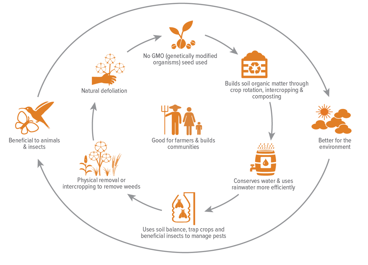 farmersmagic's tweet photo. There Are Many Benefits of Organic Products and Farming
Go For Organic
DM Us To Know More
https://t.co/0w89ZvkkIV
#FarmersMagic
#ImmunityFoods
#HealthyFoods
#PROBAY https://t.co/IyKM1xj5sE